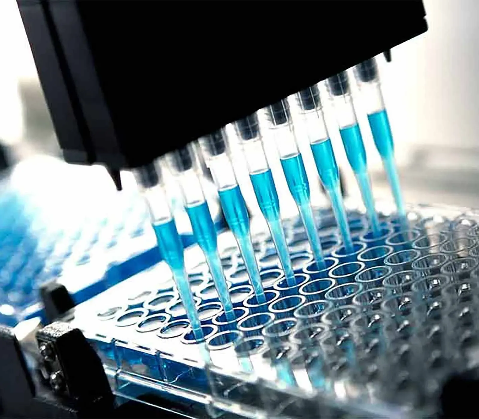 Strategies for Accelerating Assay Development in Biomedical Research